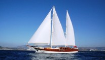 Caner IV -  Profile